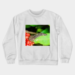 Birds beak Crewneck Sweatshirt